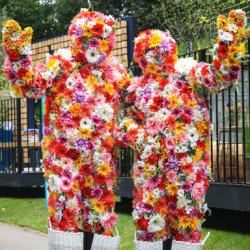 Выставка 'Chelsea Flower Show'