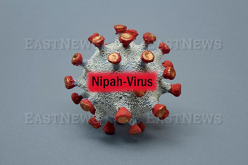 Virusmodell mit Schriftzug Nipah-Virus