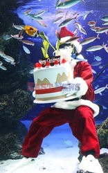 Санта-Клаус в океанариуме Токио