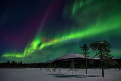 Северное сияние в Финляндии (январь 2022)