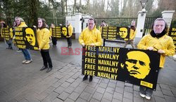 Акция в поддержку Навального в Брюсселе